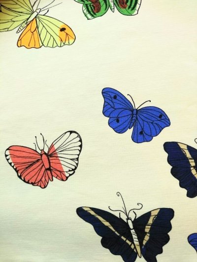 画像1: mini rodini BUTTERFLIES LS TEE